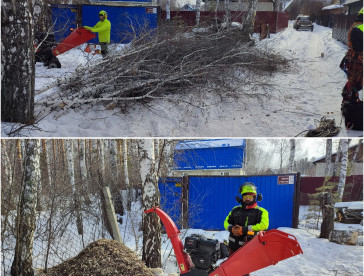 Спил деревьев в Челябинске