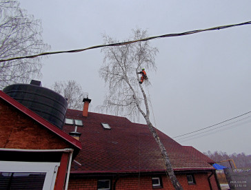 Спил деревьев в Челябинске